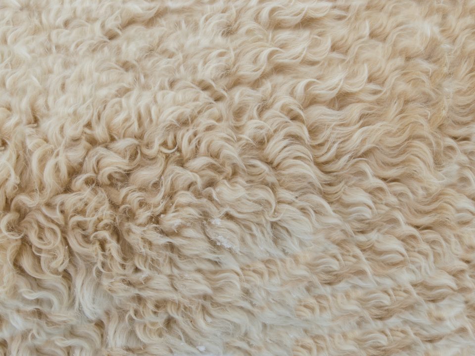 Dorset-wool-mattress